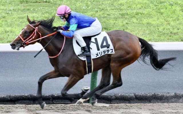 【札幌4R】古川奈穂騎乗、メリタテスの大逃げが炸裂