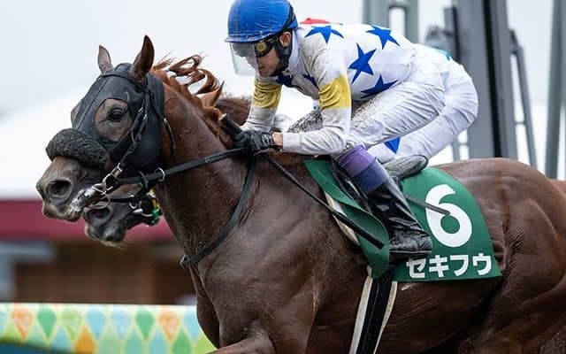 【エルムS結果】セキフウが差し切って重賞2勝目を挙げる
