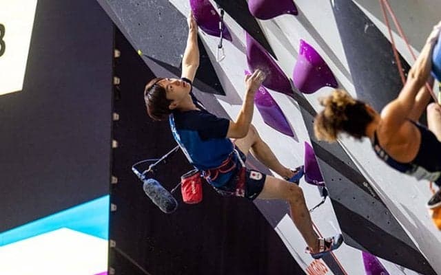 百合草が5位タイ、安楽が7位でリード男子決勝に進出【クライミング世界選手権2023】
