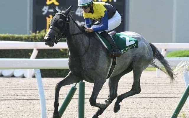 サマーマイル関屋記念、サマー2000の小倉記念/今週の競馬界の見どころ