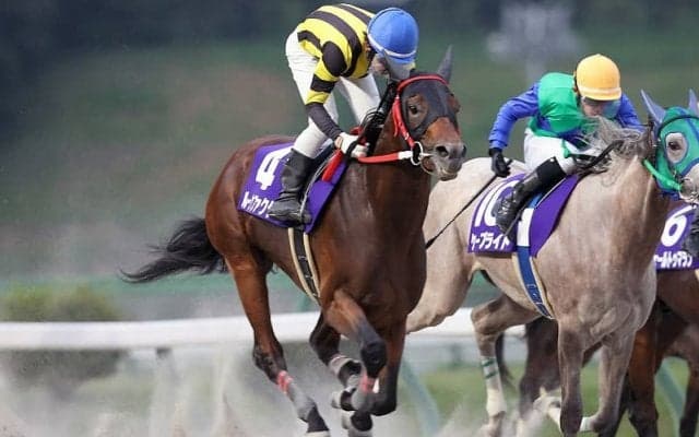 【盛岡・やまびこ賞】伏兵ルーンファクターがV…坂口「馬の気持ち優先でレースをした方がいい」