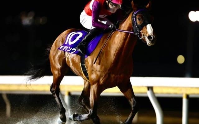 【船橋・フリオーソレジェンドC枠順】今年から重賞昇格 船橋8勝の舞台巧者ギガキングは8枠11番
