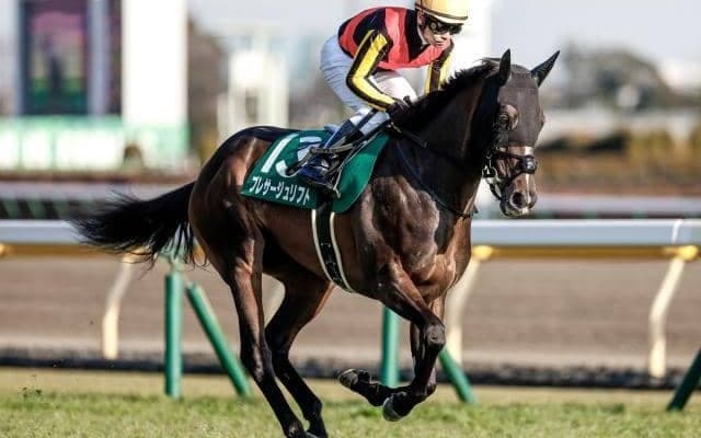 【AI予想・関屋記念】前走左回り出走馬に一日の長あり!? 本命候補は力量確かな牝馬3頭