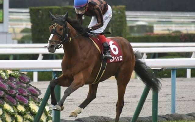 【先週のJRA抹消馬】20年の日経新春杯を制したモズベッロ、芝中距離で活躍したプレシャスブルーなど