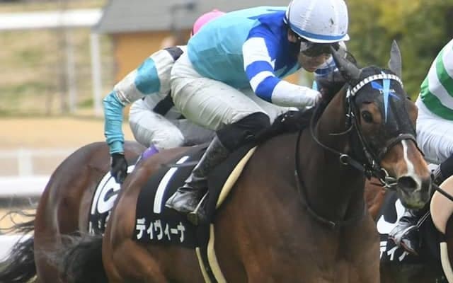 【関屋記念想定騎手】ディヴィーナはM.デムーロ騎手、ララクリスティーヌは菅原明良騎手