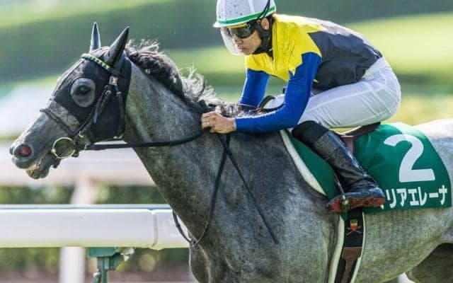 小倉記念18年ぶり2頭目の連覇へ 昨年5馬身差Vのマリアエレーナが挑戦