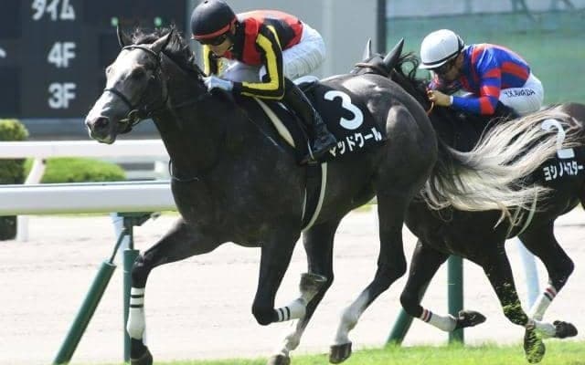 昇級初戦に強い血統は？ 好調時にどんどん良くなる種牡馬を紹介