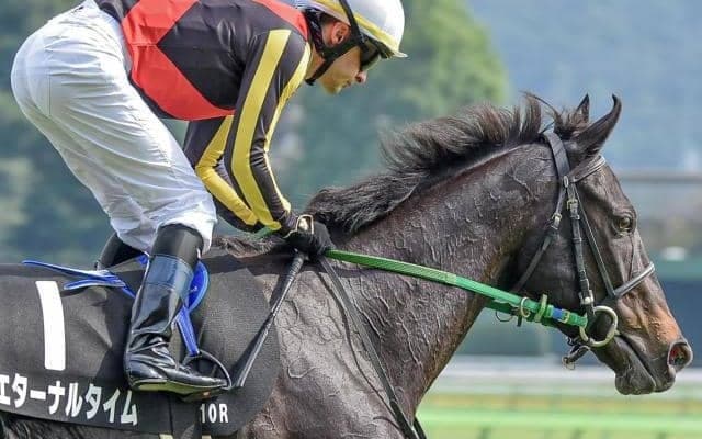 【関屋記念】重賞初挑戦で初制覇へ 16年に1番人気で3着に敗れた母の雪辱誓う