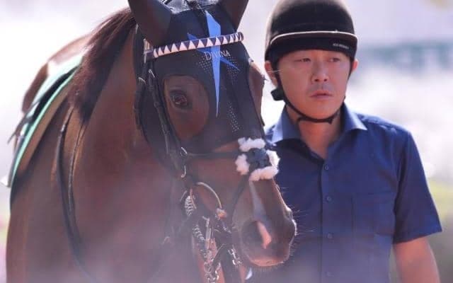 叔父・叔母にGIウイナーがいる超良血馬が関屋記念に出走 7度目の重賞チャレンジで今度こそ