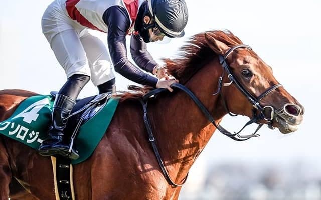 4連勝中の重賞馬ミクソロジーが年内休養へ 復帰について「来年の夏頃ぐらいになる」