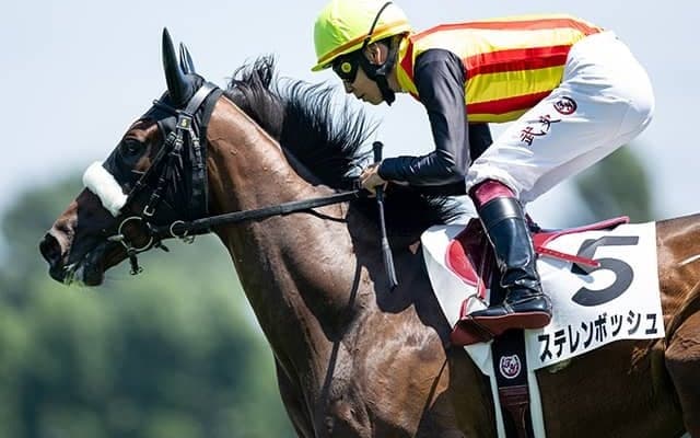 1角で“絶望的なアクシデント”も新馬戦を勝利 国枝厩舎の注目株はアルテミスSへ
