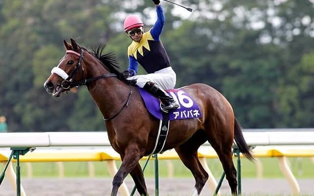 史上3頭目の牝馬3冠馬にダービー父仔2代制覇2度 キングカメハメハは種牡馬としても申し分ない活躍