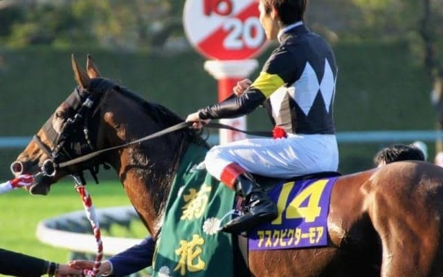 昨年の菊花賞馬アスクビクターモアが急死 