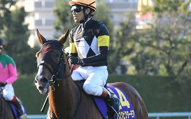 アスクビクターモアが日本のトレンド1位 突然の知らせに「ウソでしょ」