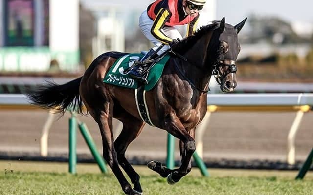 東京新聞杯3着も「着順以上に評価が必要」 とうけいば氏が関屋記念出走予定馬の近走解説