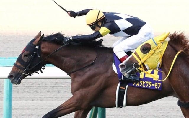 アスクビクターモアが熱中症で死亡