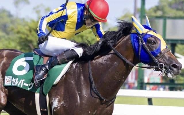 関屋記念は逃げ馬に要注意！ 逃げれば複勝率100％のセルバーグにもう一発を期待