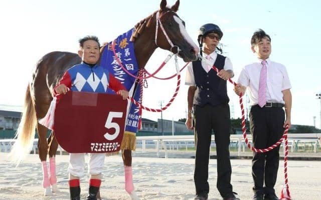 【園田・兵庫ジュベナイルC結果】マミエミモモタローがデビューから2連勝で重賞制覇