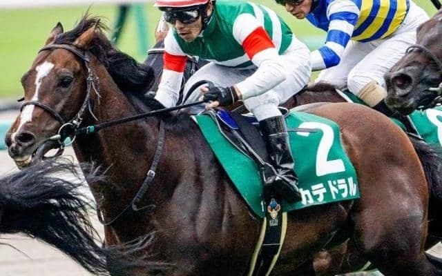 近10年で8頭が馬券圏内に好走 小倉記念に強い“トニービンの血”を持つ馬に要注意