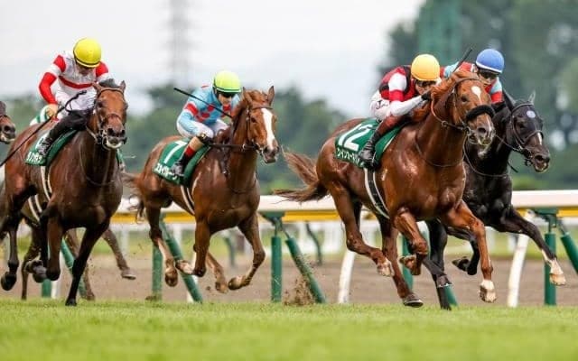 夏の名物重賞・関屋記念 意外と知らないレース名の由来と歴史とは