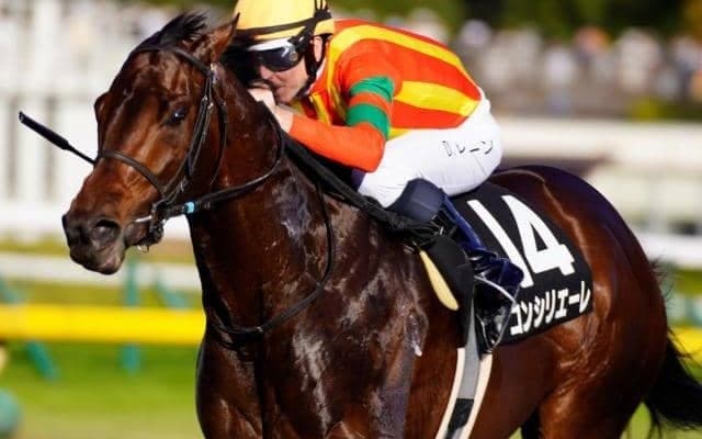 関屋記念は520kg以上の馬が狙い目！ 前走552kgのダート巧者に期待