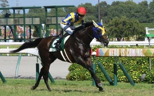 【関屋記念枠順確定】ディヴィーナは1枠1番、セルバーグは3枠5番