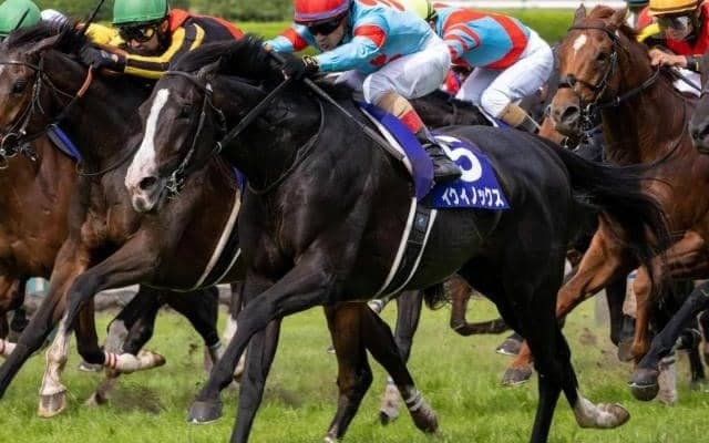 イクイノックスが世界一守る ロンジンワールドベストレースホースランキング