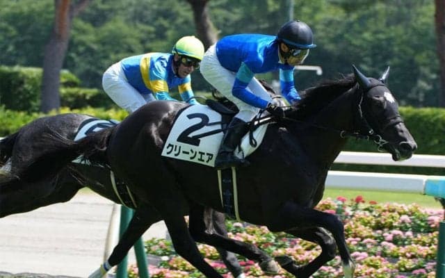 【新馬/新潟5R】8番人気の伏兵クリーンエアがデビューV