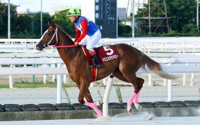 【兵庫ジュベナイルC】マミエミモモタローがデビュー2連勝…川原騎手は地方競馬重賞最年長勝利記録を更新