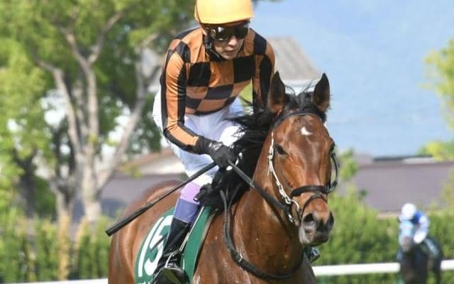 【北九州記念想定馬・騎手】モズメイメイ、ロンドンプランなど21頭