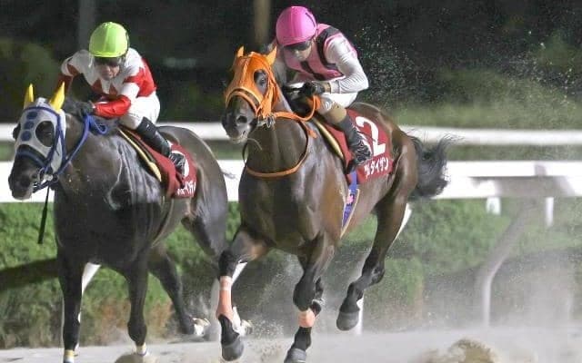 【園田・摂津盃結果】ツムタイザンが2歳時以来の重賞3勝目を挙げる