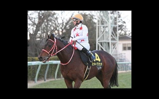 関屋記念で注目の血統は「ダンチヒ」と「ディープインパクト」 本命は44戦の大ベテラン、対抗は？