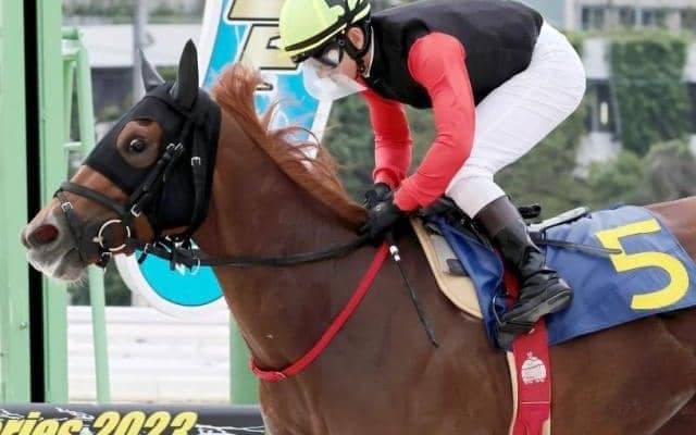 園田での3戦は完勝 土曜小倉12Rは再転入初戦のラブリアージェに注意