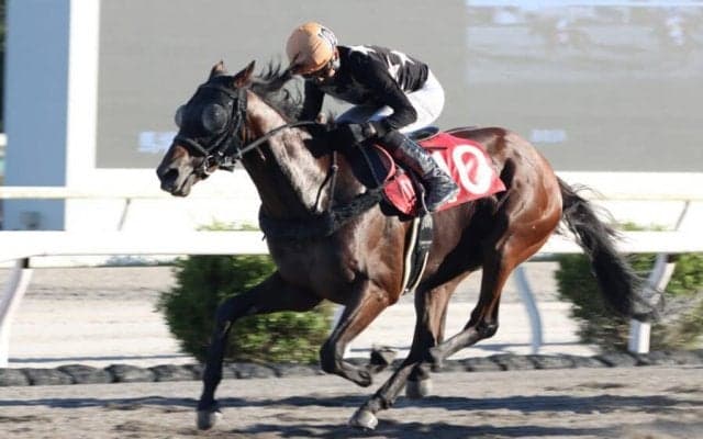 【高知・魚梁瀬杉特別】単勝1.0倍デステージョが人気に応える…宮川「終始追いっぱなし」