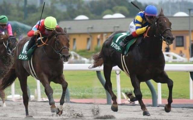 【盛岡・クラスターC枠順】プロキオンSを制したドンフランキーは4枠6番、同レース2着のリメイクは5枠8番