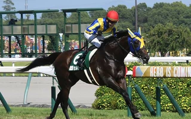 【今日の注目ポイント】新潟でサマーマイル第3弾の関屋記念、ハンデ重賞の小倉記念