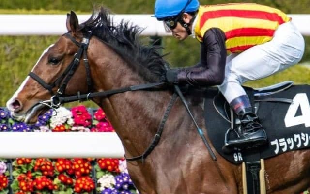 【博多S予想】休み明けこそが絶好の狙い目 当舞台に相性バツグンのキタサンブラック産駒に期待