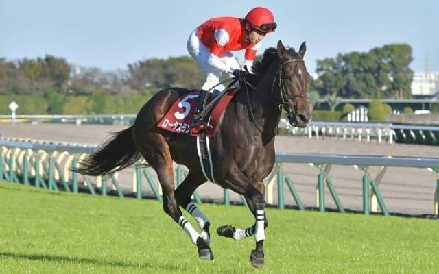 【関屋記念予想】ワンターンのマイル戦 瞬発力より持続するスピード問われる