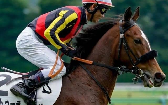 【日曜新潟12R予想】芝1400m以下の良馬場なら安定感抜群 1年10カ月ぶりの白星をつかむか