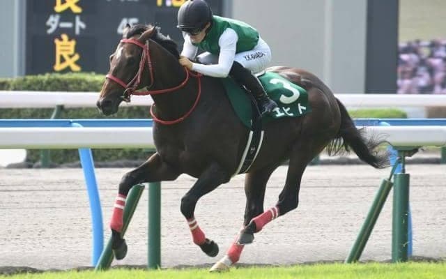 【小倉記念結果】エヒトが好位から抜け出し重賞2勝目を挙げる