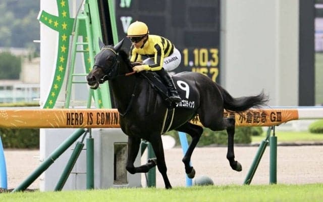 【フェニックス賞】単勝1.1倍、シカゴスティングが3馬身差完勝