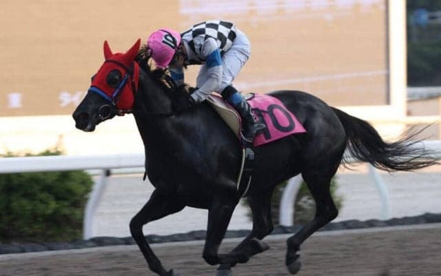 【高知けいば】郷間勇太騎手が地方通算500勝…「いつも高知けいばの応援ありがとうございます」