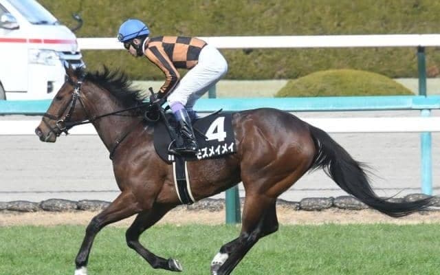 【北九州記念見どころ】モズメイメイが重賞3勝目を狙う