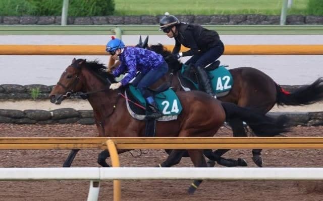 POGでも人気集めるウールデュボヌール 20日札幌で初陣/関西馬メイクデビュー情報