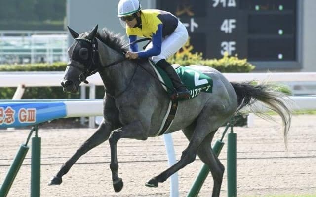 馬体重に秘密アリ 血統面から読み解くマリアエレーナの敗戦