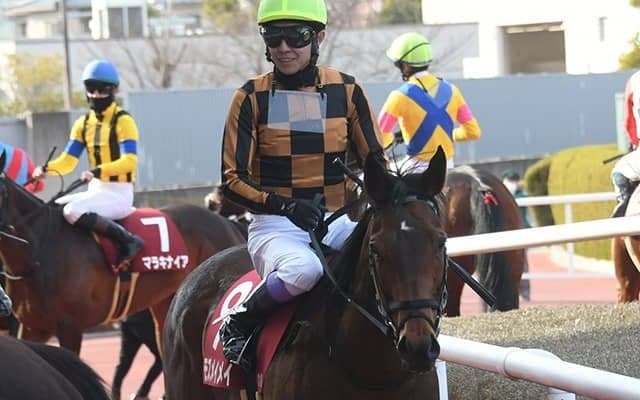 【北九州記念想定騎手】モズメイメイは松若風馬騎手、ママコチャは鮫島克駿騎手