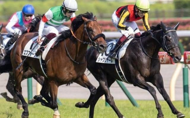 日本ダービー馬の勝利ない札幌記念 シャフリヤールは嫌なジンクス克服なるか