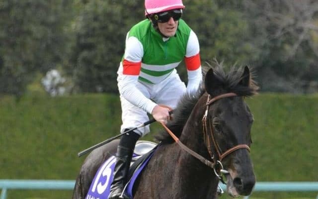 1番人気での連対率60％超え？人気でも“買いたい種牡馬”と“買いづらい種牡馬”