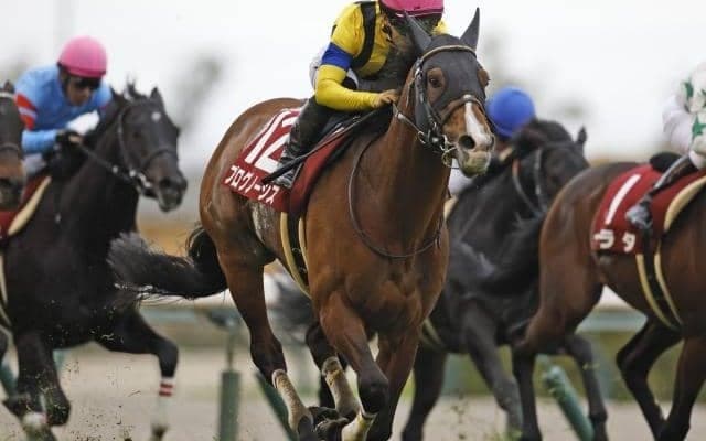 【札幌記念展望】スピードが要求される一戦、プログノーシスに期待したい