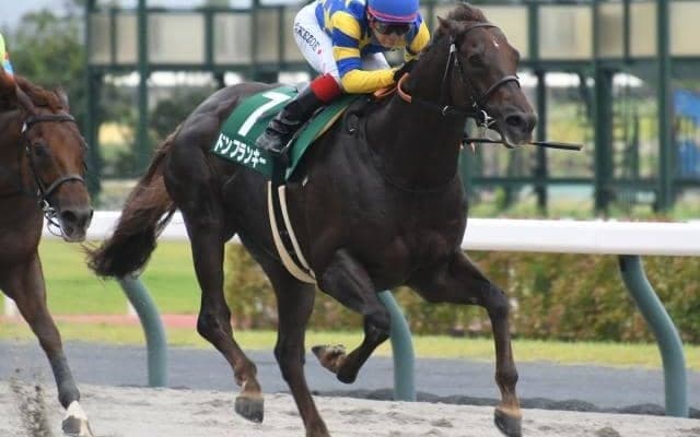 好馬体誇る重賞馬からダート短距離路線けん引する古豪まで お盆の岩手盛り上げるクラスターC